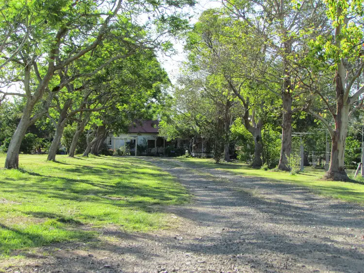 Second view of Homely rural property listing, 687 Bucketts Way East, Gloucester NSW 2422