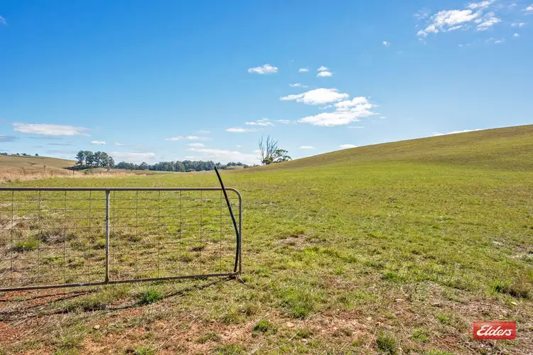 Fifth view of Homely rural property listing, 299 Natone Road, Stowport TAS 7321