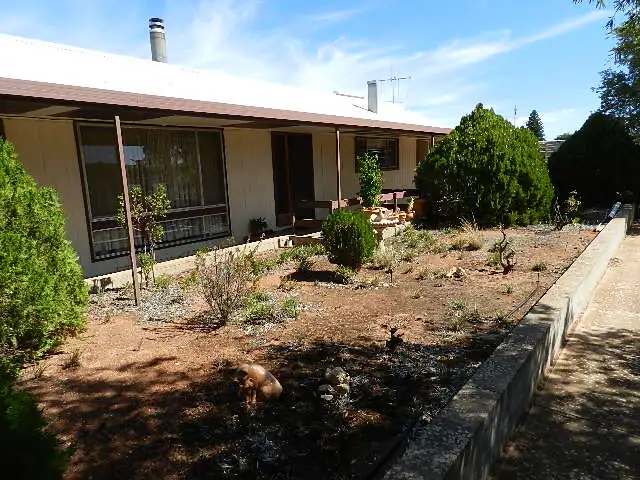 Main view of Homely house listing, 53 Gaskell Road, Barmera SA 5345