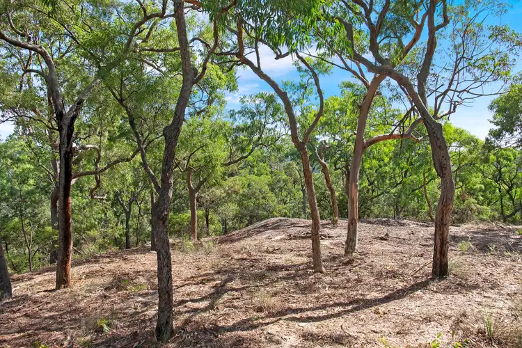 Third view of Homely land listing, 677 Greens Road, Lower Portland NSW 2756