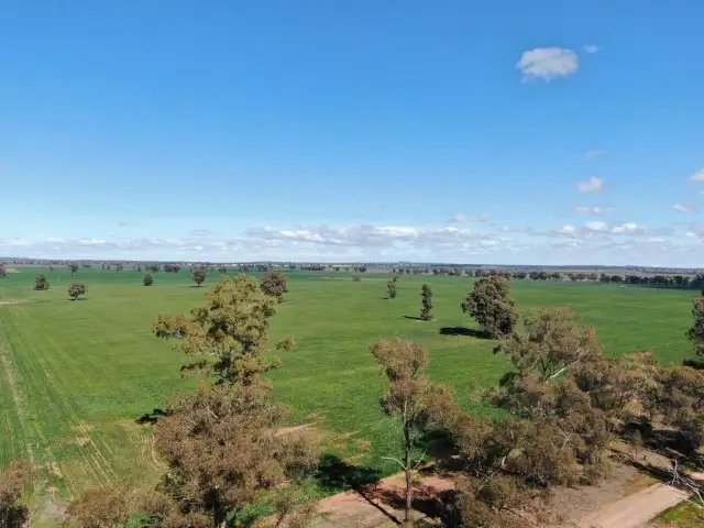 Lot 50 Cains Lane 'Glen Oak Estate', Coolamon NSW 2701