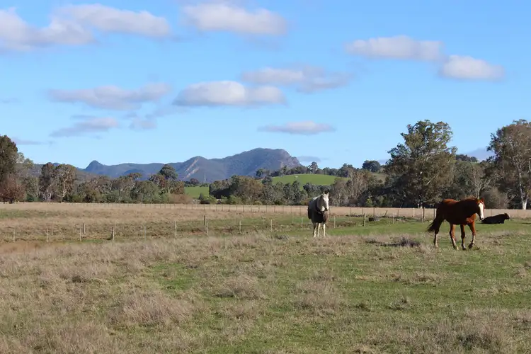 Third view of Homely rural property listing, 1027 Taggerty Thornton Road, Thornton VIC 3712