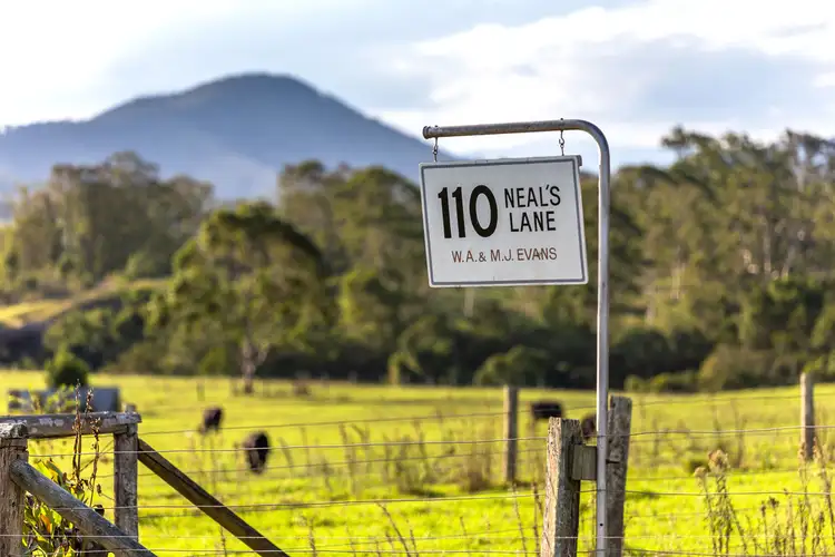 Third view of Homely rural property listing, 110 Neals Lane, Taree NSW 2430