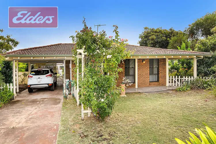 20 Dwyer Street, East Bunbury WA 6230