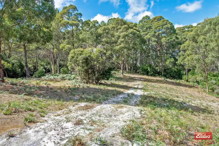 Fifth view of Homely rural property listing, 0 Blackabys Road, Boat Harbour TAS 7321