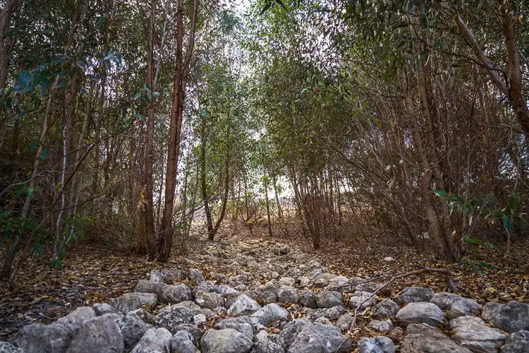 Fifth view of Homely land listing, Lot 183 Remarkable Rise, Jane Brook WA 6056