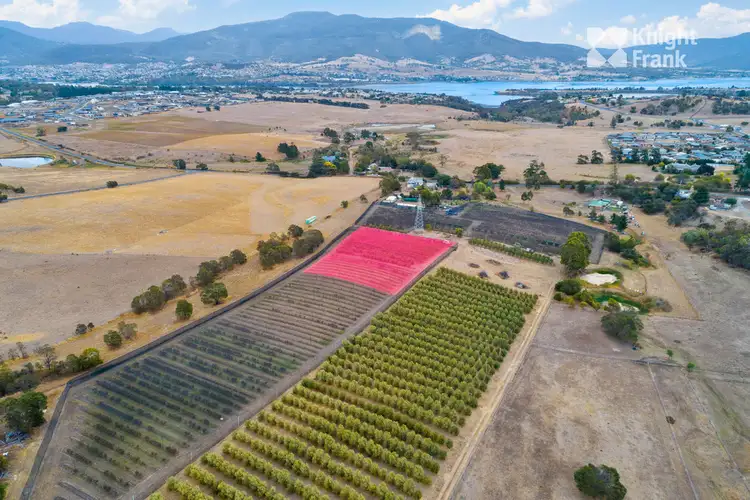 Fifth view of Homely rural property listing, 218 Old Beach Road, Old Beach TAS 7017