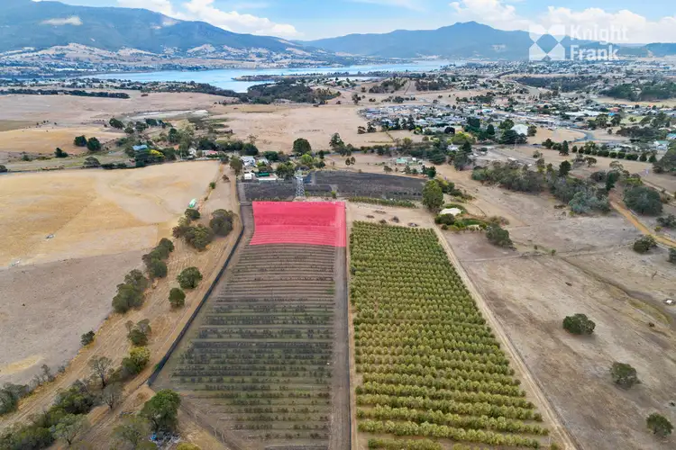 Sixth view of Homely rural property listing, 218 Old Beach Road, Old Beach TAS 7017