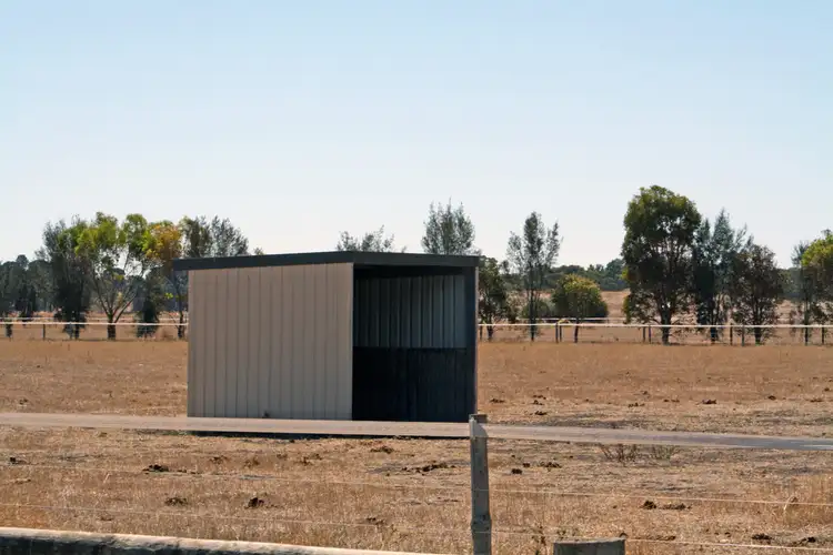 Second view of Homely rural property listing, 95 Carthy Road, Naracoorte SA 5271
