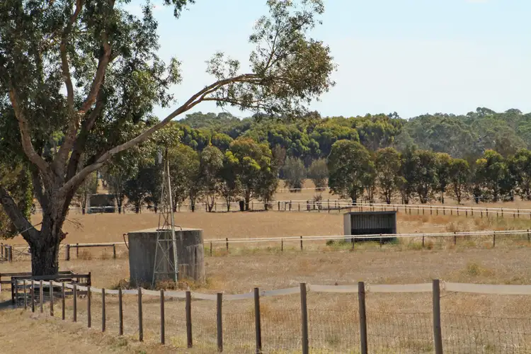Fourth view of Homely rural property listing, 95 Carthy Road, Naracoorte SA 5271