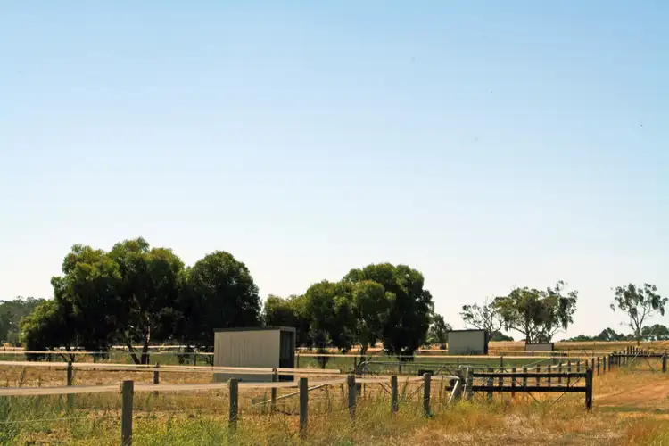 Fifth view of Homely rural property listing, 95 Carthy Road, Naracoorte SA 5271