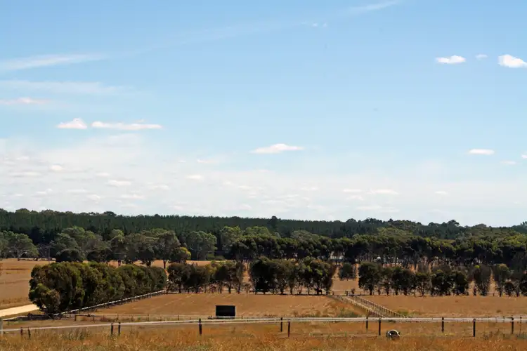 Sixth view of Homely rural property listing, 95 Carthy Road, Naracoorte SA 5271
