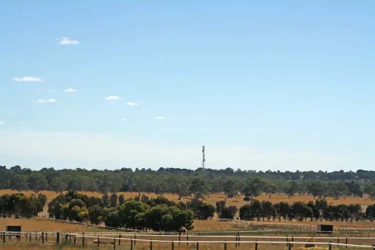 Seventh view of Homely rural property listing, 95 Carthy Road, Naracoorte SA 5271