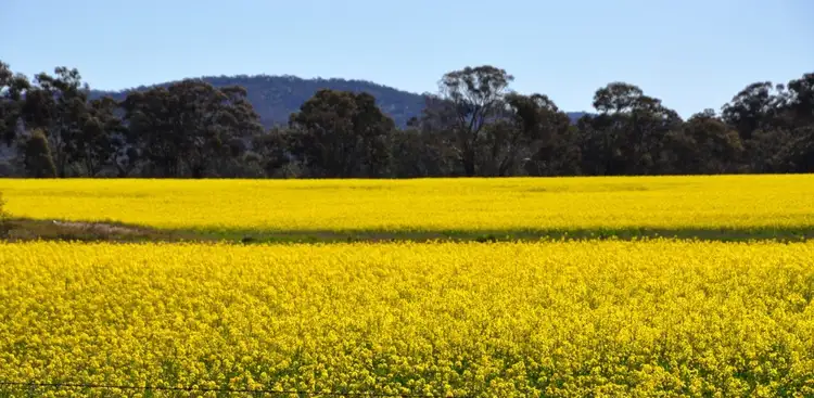 Fourth view of Homely rural property listing, 2793 Maryborough-St Arnaud Road, Natte Yallock VIC 3465