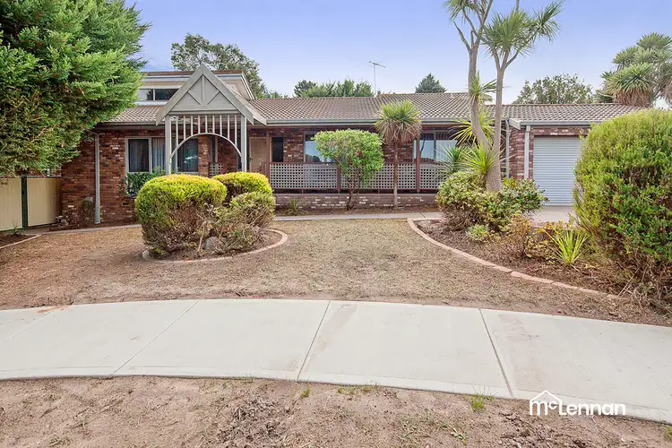 Main view of Homely house listing, 16 Mueller Court, Endeavour Hills VIC 3802