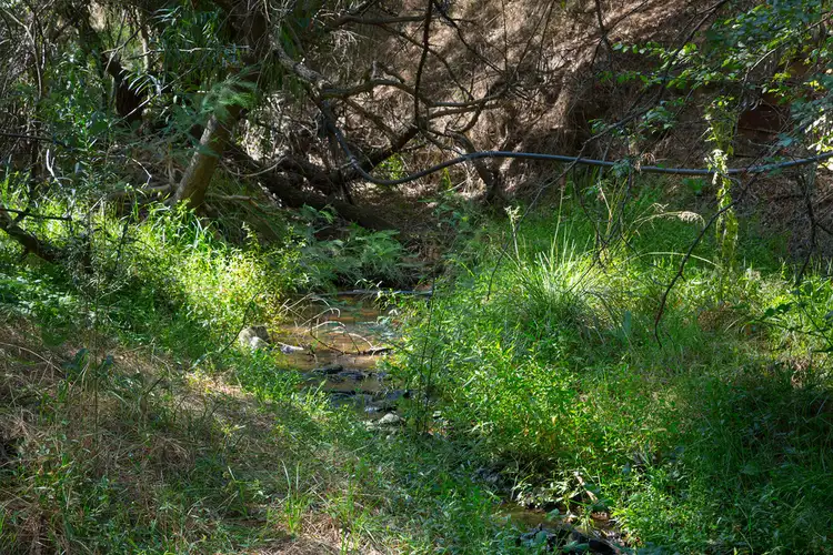Fourth view of Homely rural property listing, 117 Rousseaus Road, Tallangatta Valley VIC 3701