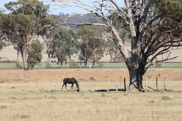 Second view of Homely rural property listing, 1080 Goldfields Way, Temora NSW 2666