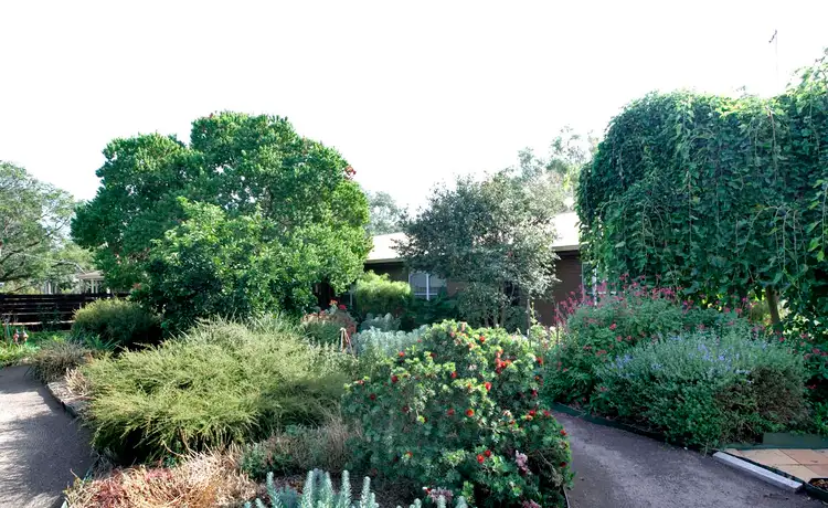 Main view of Homely house listing, 10 Tulip Street, Violet Town VIC 3669