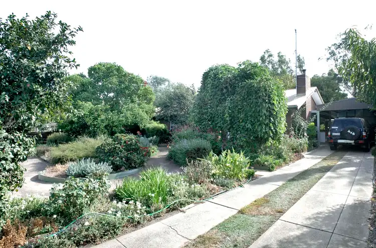 Fifth view of Homely house listing, 10 Tulip Street, Violet Town VIC 3669
