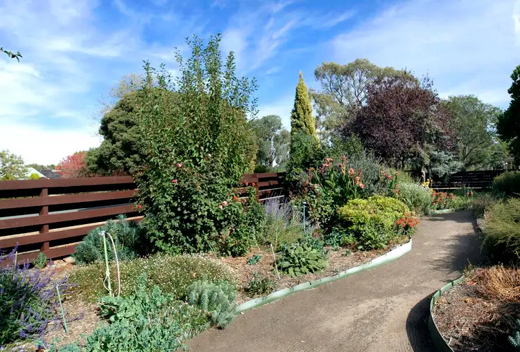 Seventh view of Homely house listing, 10 Tulip Street, Violet Town VIC 3669