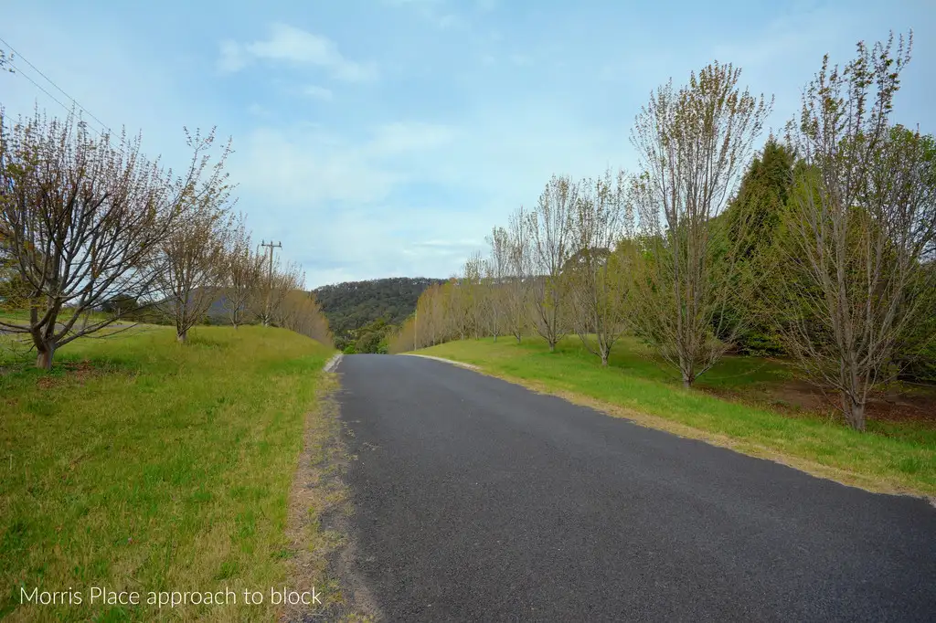Main view of Homely land listing, 85 Morris Place, Little Hartley NSW 2790