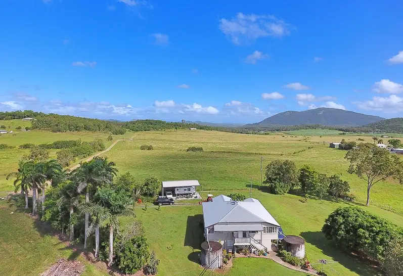 Main view of Homely rural property listing, 161 Tweedies Road, The Leap QLD 4740
