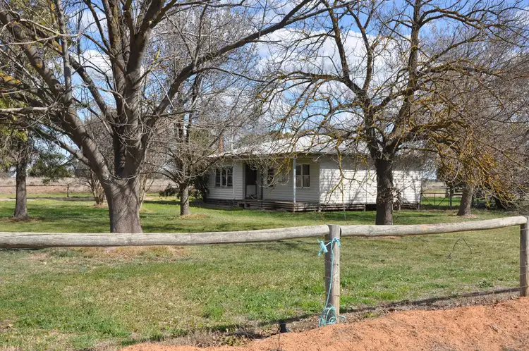 Second view of Homely rural property listing, 1811 Cosgrove Road, Invergordon VIC 3636