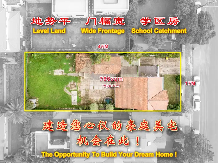 40 McClelland Street, Willoughby NSW 2068