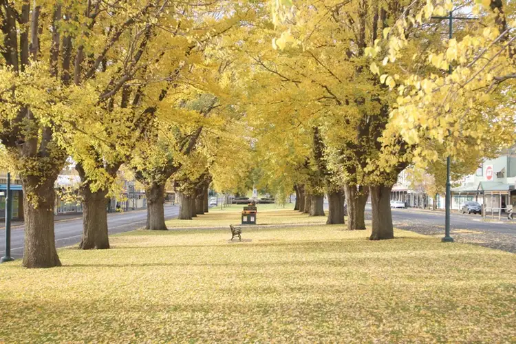 Fifth view of Homely land listing, 9 Thornton Street (Lot 2), Camperdown VIC 3260