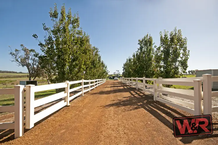 Main view of Homely rural property listing, 53 Neilson Road, Willyung WA 6330