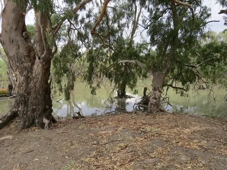 Sixth view of Homely rural property listing, 126 Wilson Road, Jerilderie NSW 2716