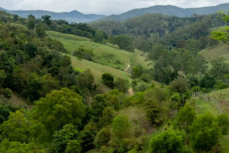 Fourth view of Homely rural property listing, 888 Innes View Road, Comboyne NSW 2429