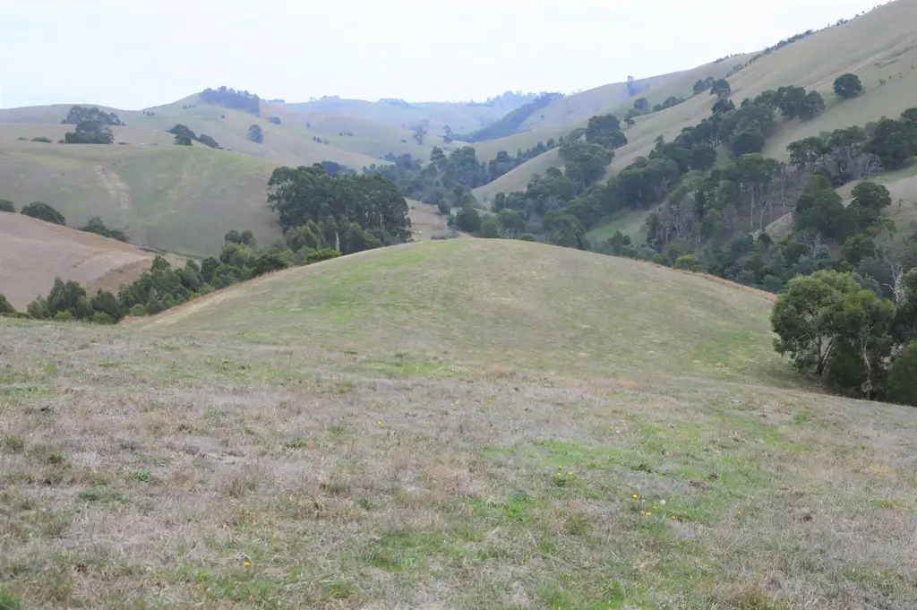 Main view of Homely rural property listing, 431 TERRITORY ROAD, Strzelecki VIC 3950