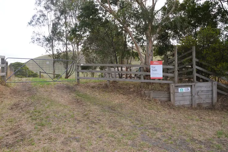 Second view of Homely rural property listing, 431 TERRITORY ROAD, Strzelecki VIC 3950