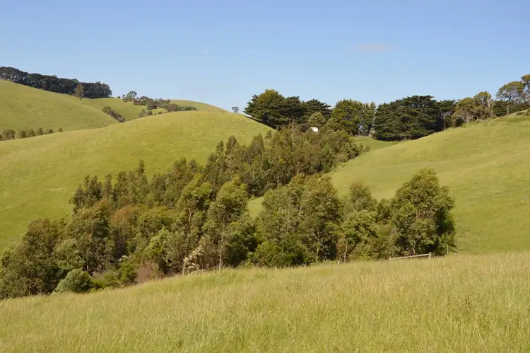 Fourth view of Homely rural property listing, 431 TERRITORY ROAD, Strzelecki VIC 3950
