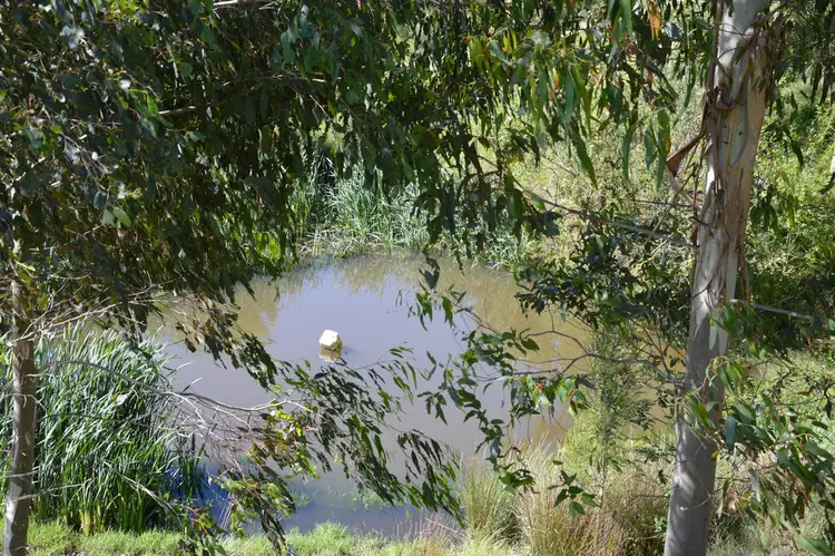 Fifth view of Homely rural property listing, 431 TERRITORY ROAD, Strzelecki VIC 3950