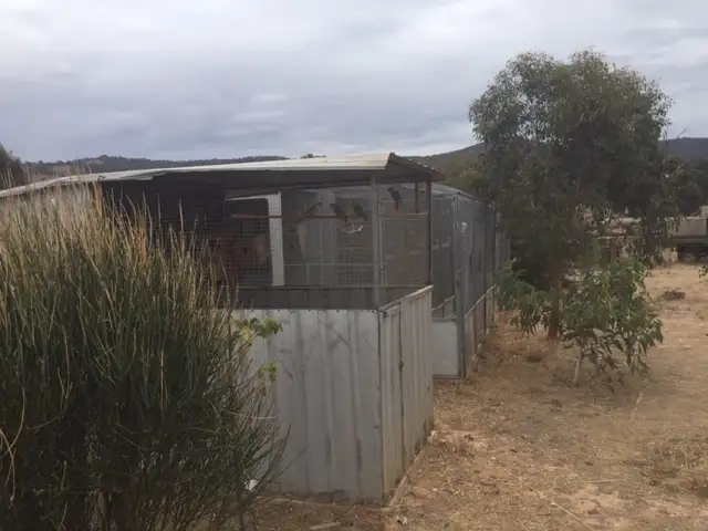 Sixth view of Homely rural property listing, 215 Taltarni Rd, Moonambel VIC 3478