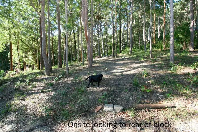 Fourth view of Homely land listing, 49 Windsor Street, Tarbuck Bay NSW 2428