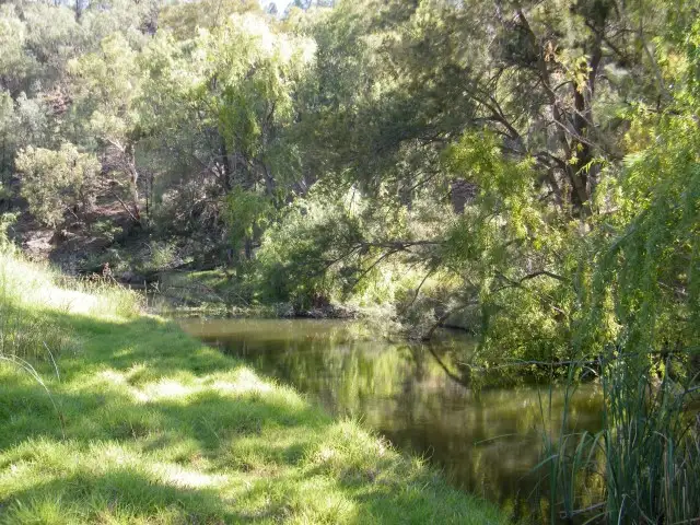 Third view of Homely rural property listing, 135 Bolah Gap Rd, Quirindi NSW 2343