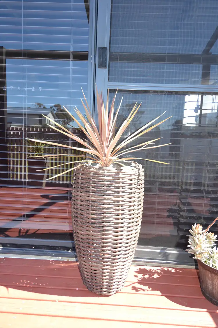 Fifth view of Homely house listing, 19 Ferguson Street, Kelso TAS 7270