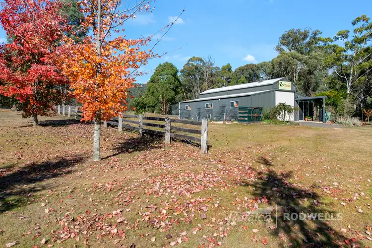 Third view of Homely rural property listing, 2500 MANSFIELD-WHITFIELD ROAD, Tolmie VIC 3723