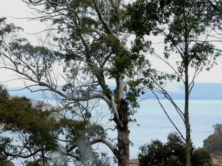 Sixth view of Homely house listing, 19 Warner Road, Breona TAS 7304
