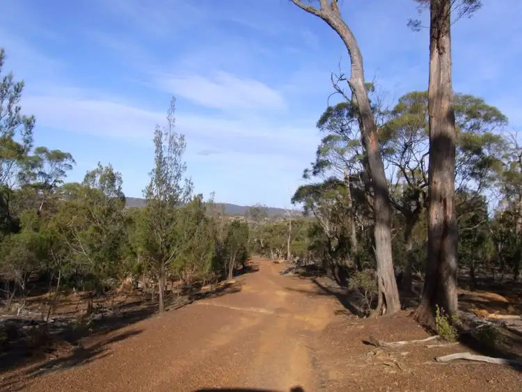 Fifth view of Homely land listing, Lot 1 Lake Leake Road, Swansea TAS 7190