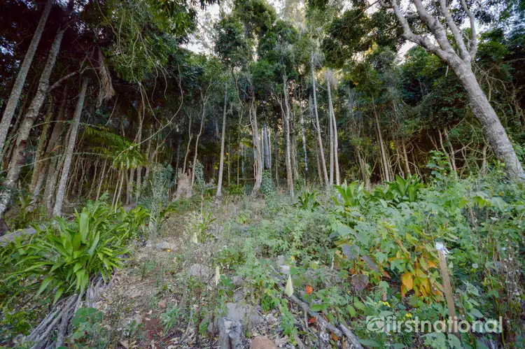 Second view of Homely land listing, 101-103 Licuala Drive, Tamborine Mountain QLD 4272