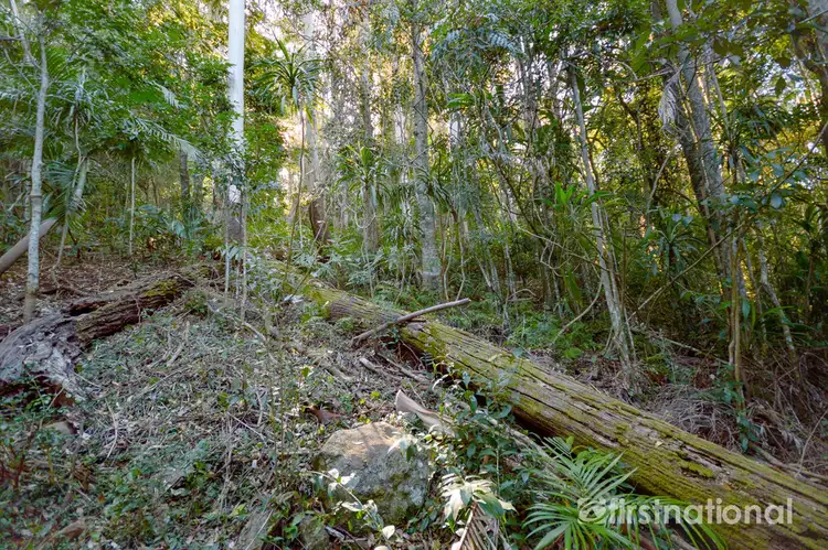 Third view of Homely land listing, 101-103 Licuala Drive, Tamborine Mountain QLD 4272