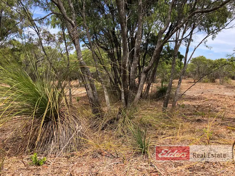 Fifth view of Homely land listing, 45 Native Dog Beach Road, Bremer Bay WA 6338