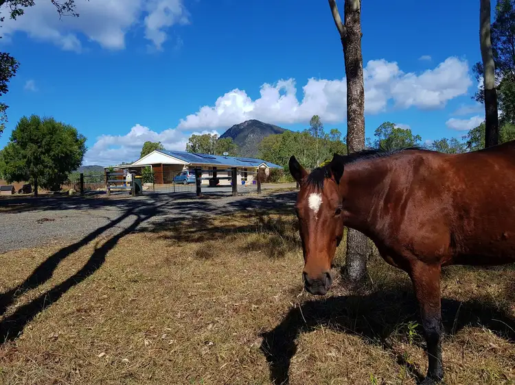 Main view of Homely house listing, 30 Sawmill Road, Aratula QLD 4309