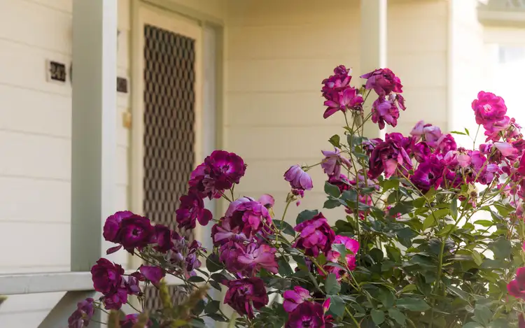 Third view of Homely house listing, 247 Rosetta Village, 1-27 Maude Street, Encounter Bay SA 5211