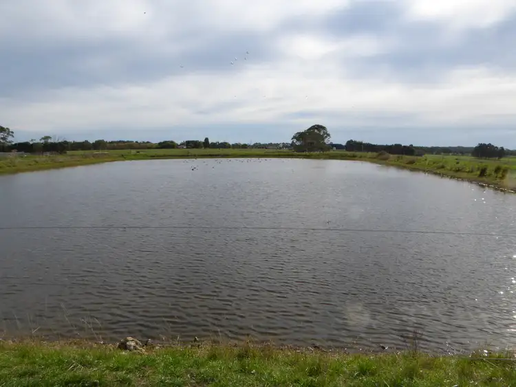Third view of Homely rural property listing, 155 Lilleys Lane, Ecklin South VIC 3265