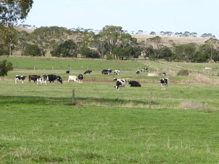 Fourth view of Homely rural property listing, 155 Lilleys Lane, Ecklin South VIC 3265
